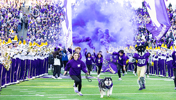 UW Huskies game